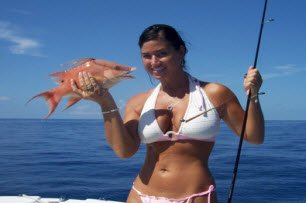 Hogfish